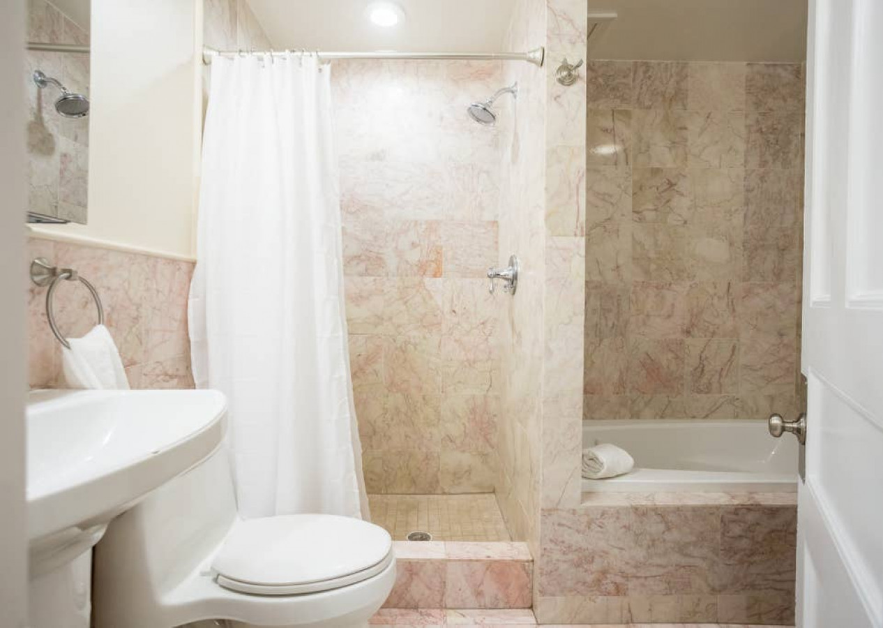 Shower and Bath!  Unique for a Boston Apartment : )