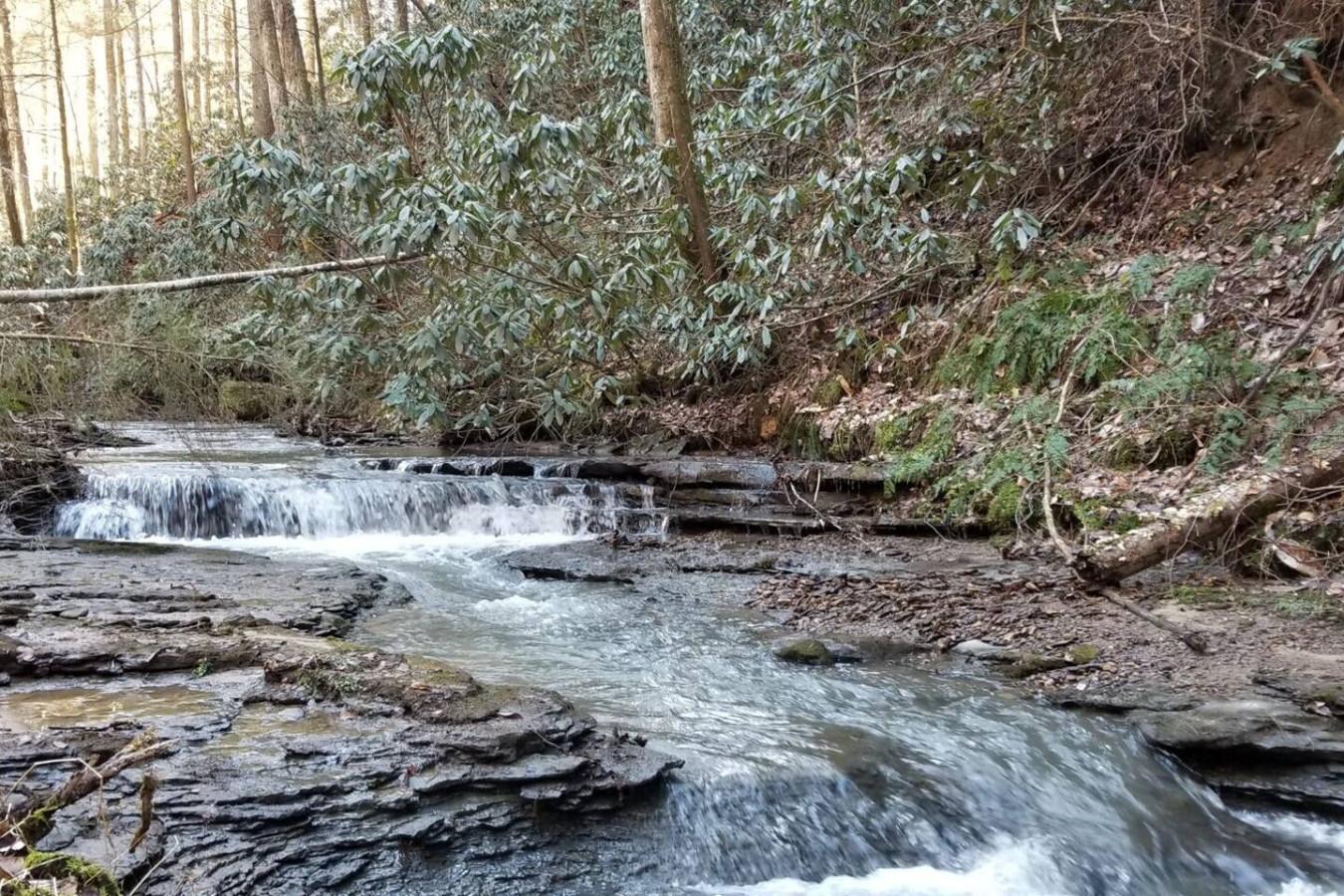 Hillside Haven photo 37