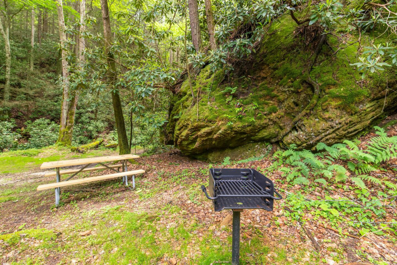 Cozy Creek photo 23