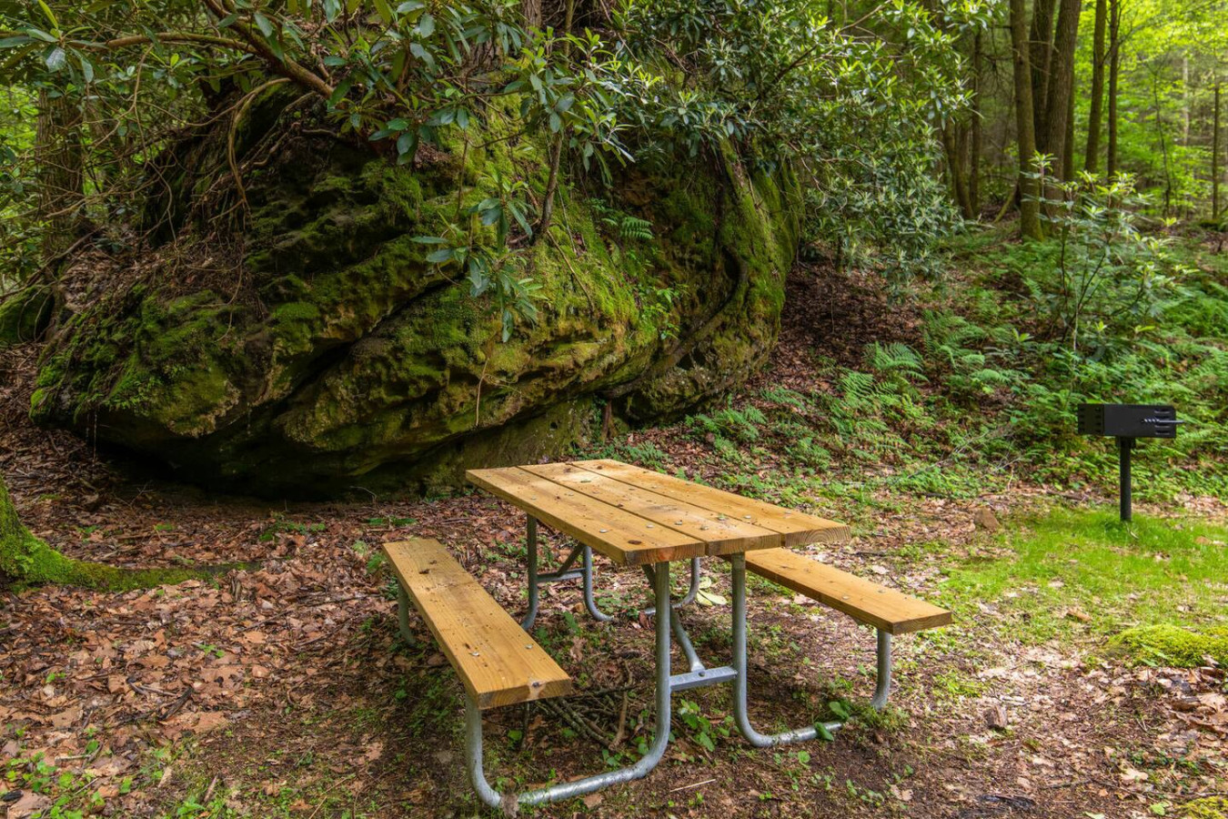 Cozy Creek photo 22