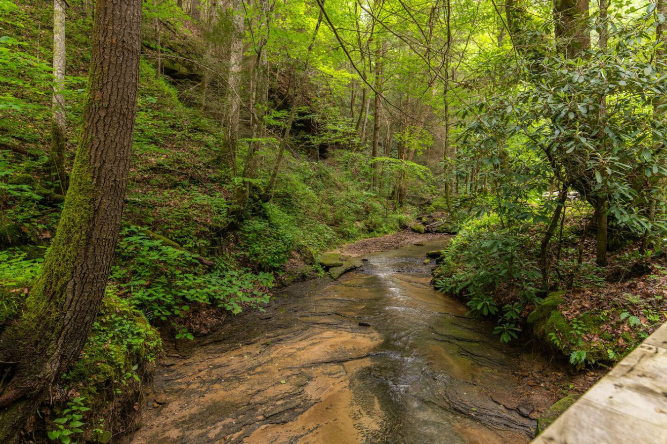 Cozy Creek photo 30