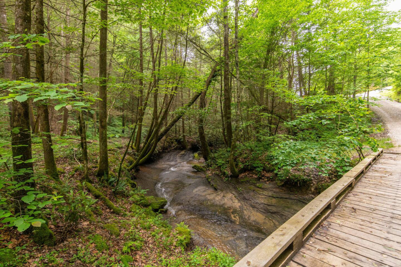 Cozy Creek photo 29