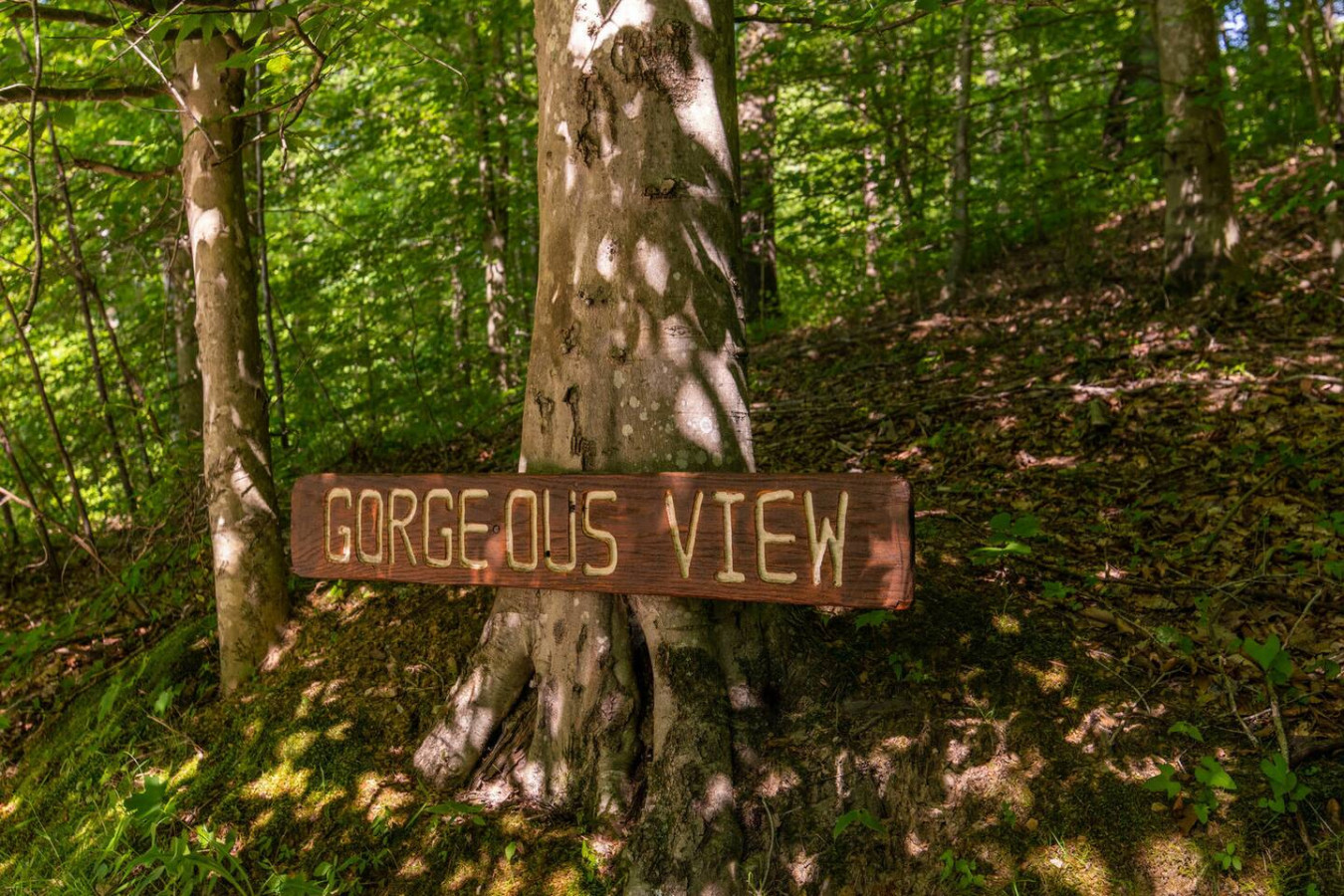 Gorgeous View Cabin photo 42