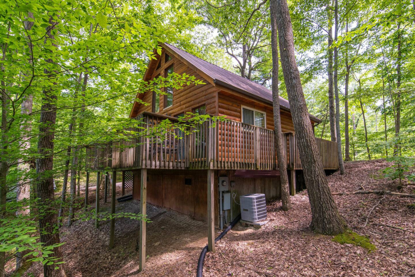 Gorgeous View Cabin photo 34