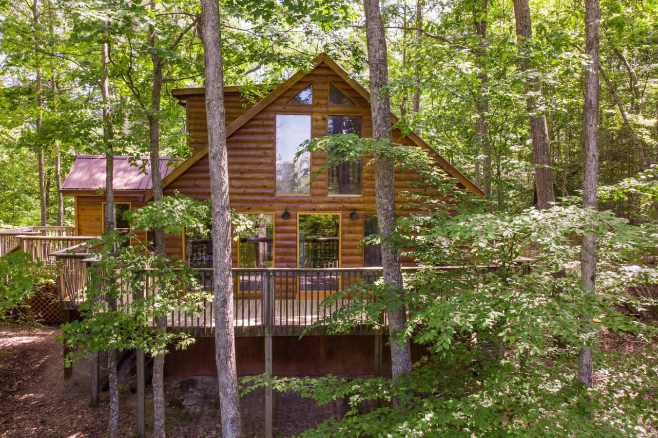 Gorgeous View Cabin photo 1
