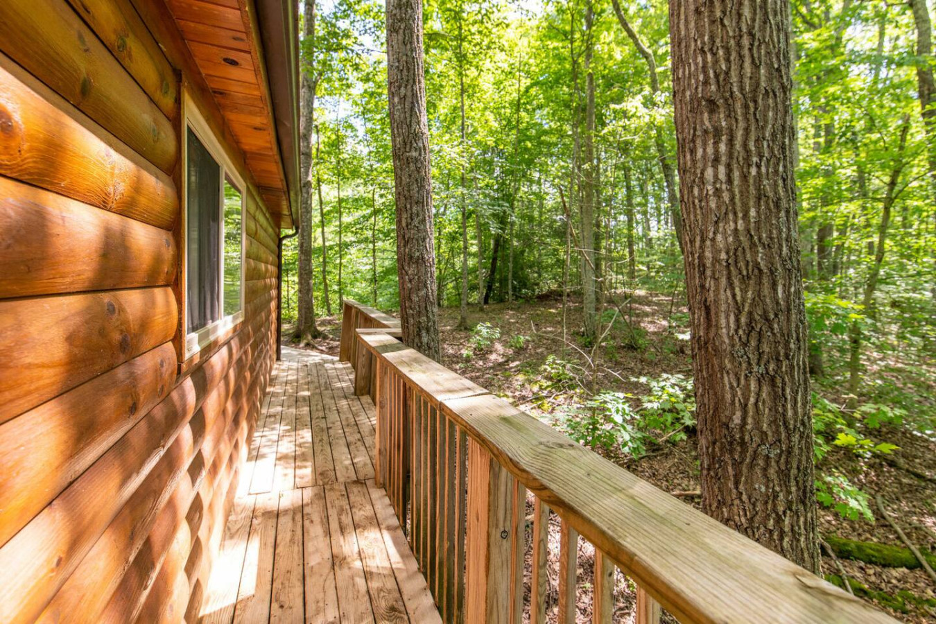 Gorgeous View Cabin photo 37