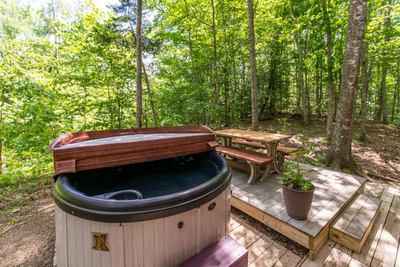 Gorgeous View Cabin photo 2