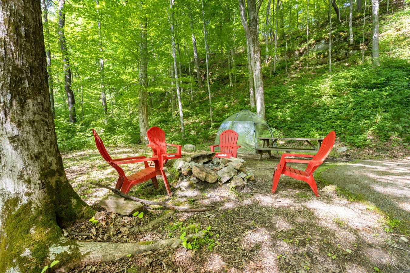 Beary Secluded photo 23