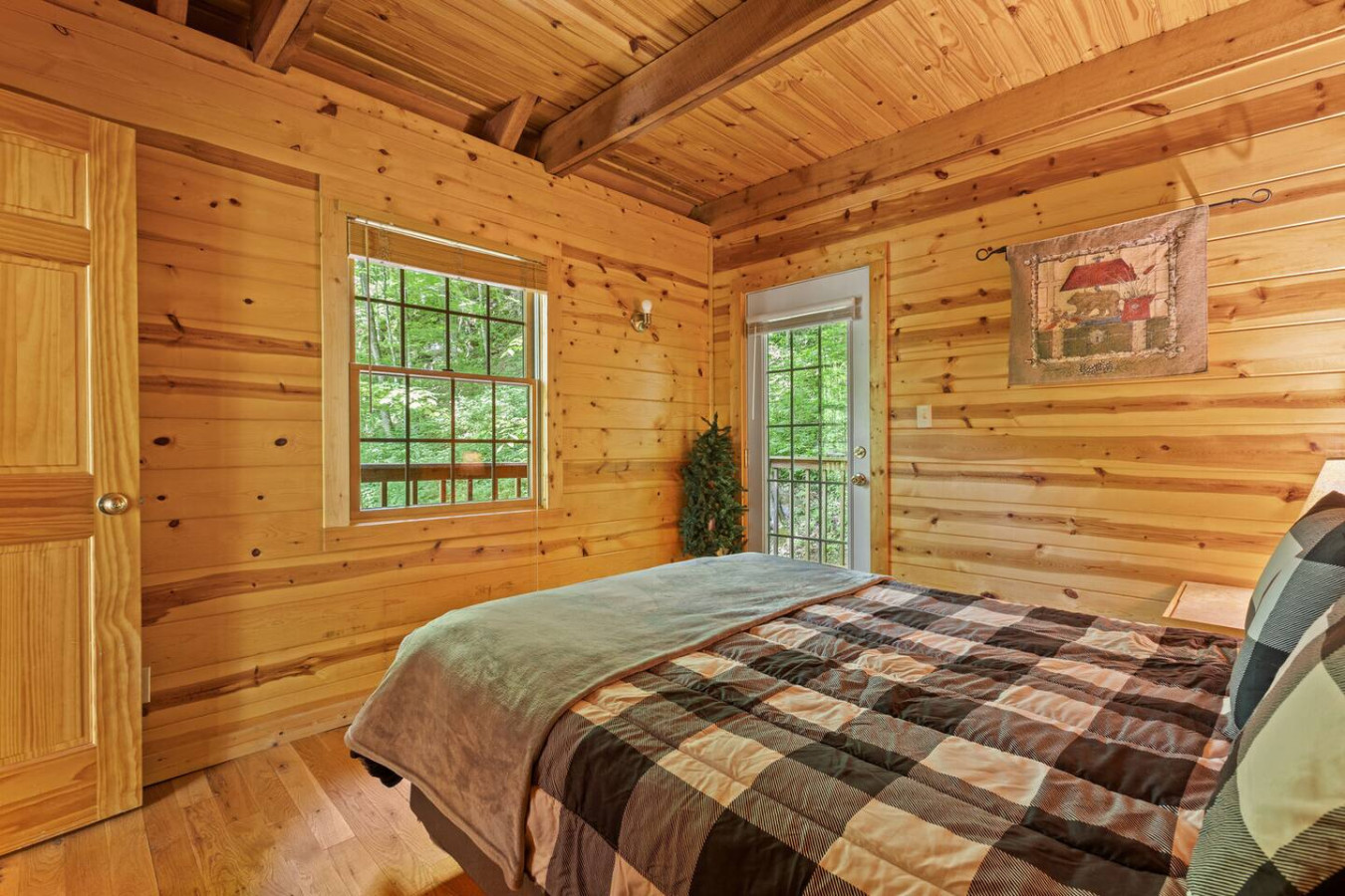 Beary Secluded photo 17