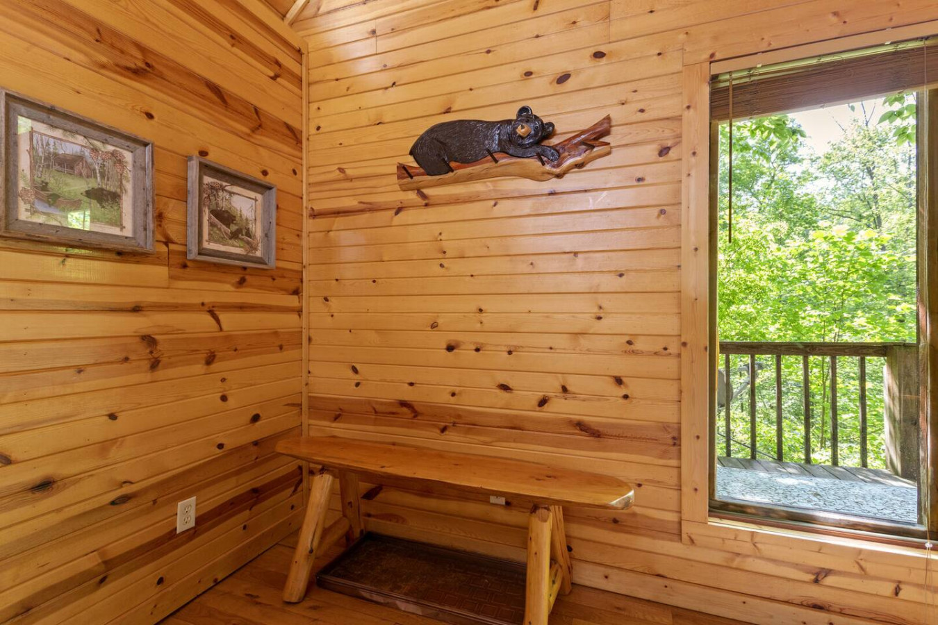 Beary Secluded photo 15