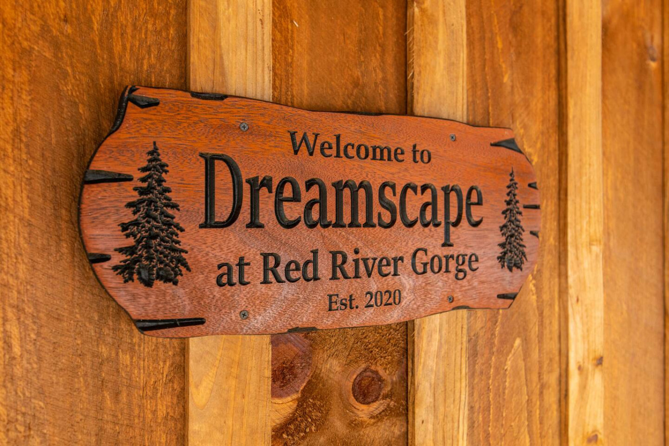 Dreamscape photo 6