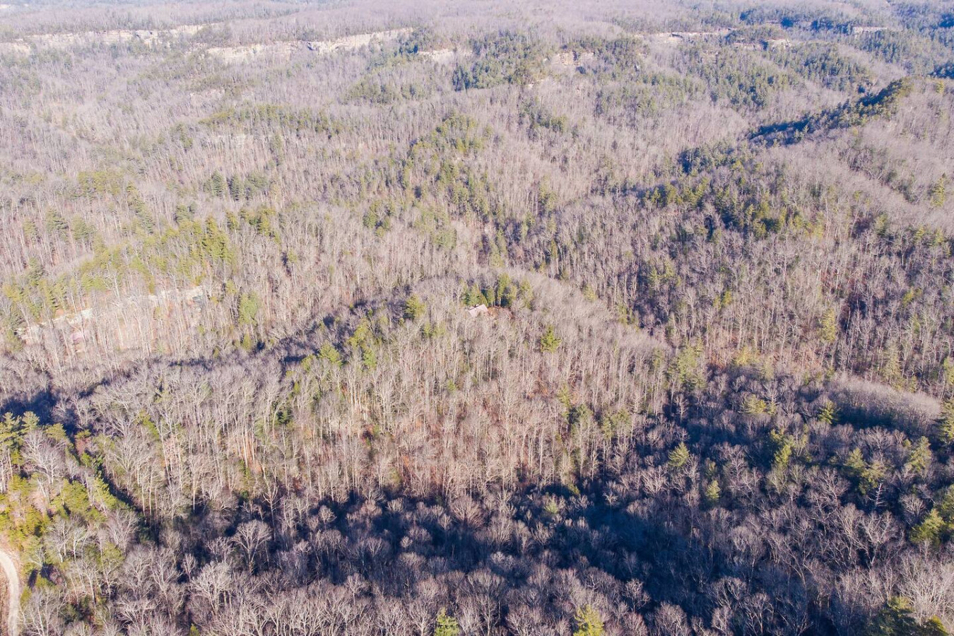 Mill Creek Point photo 8