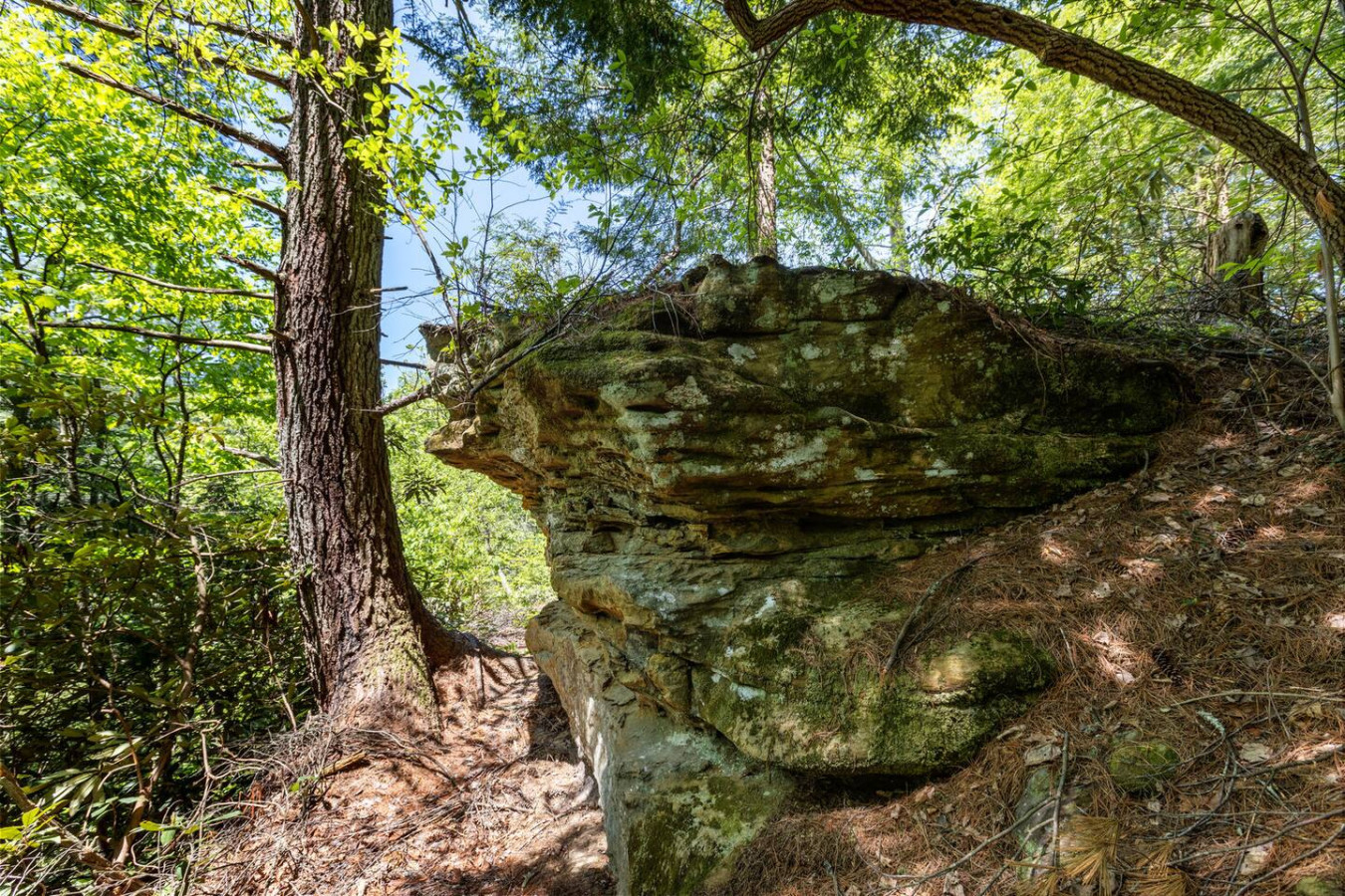 Knotty By Nature photo 42