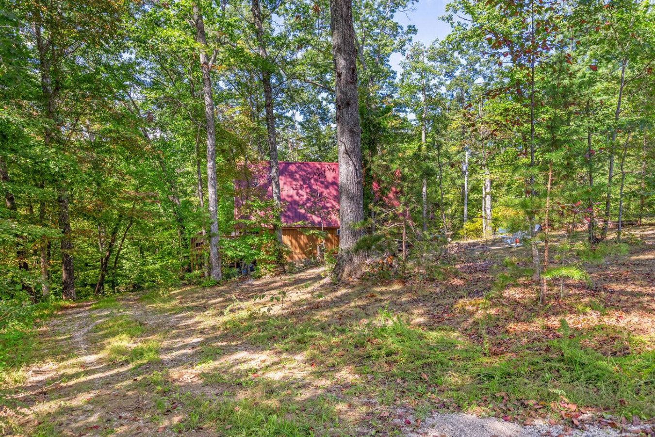Sugar Shack photo 35