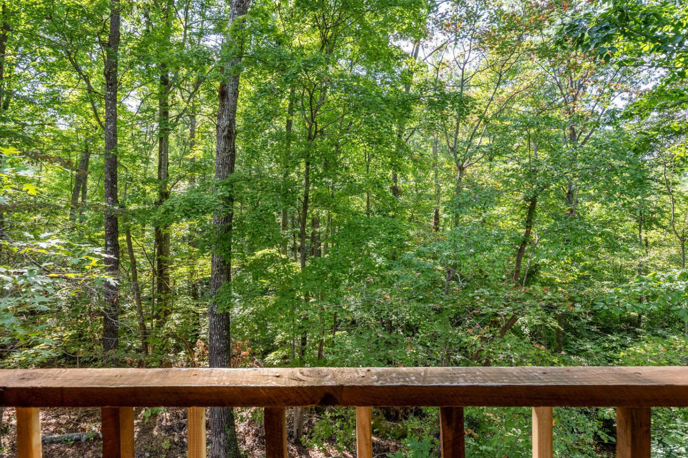 Sugar Shack photo 27