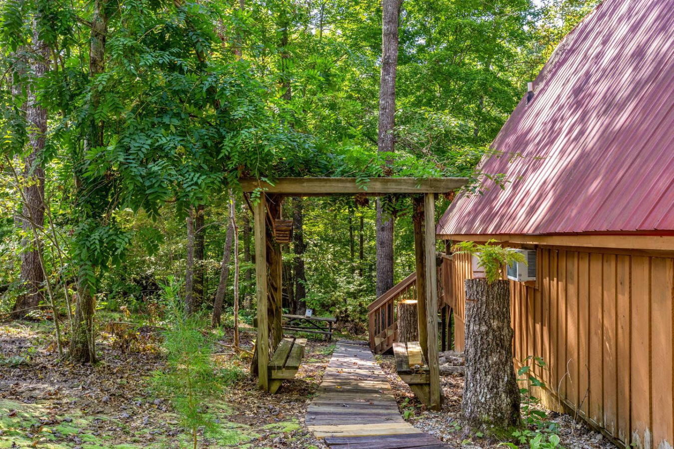 Sugar Shack photo 32