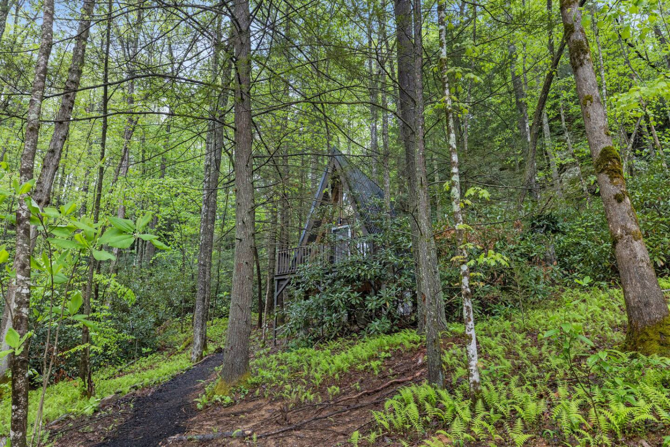 A-Frames Under the Canopy photo 46