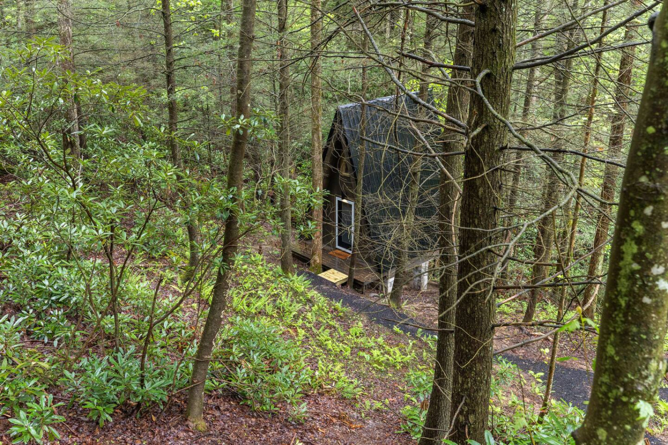 A-Frames Under the Canopy photo 50