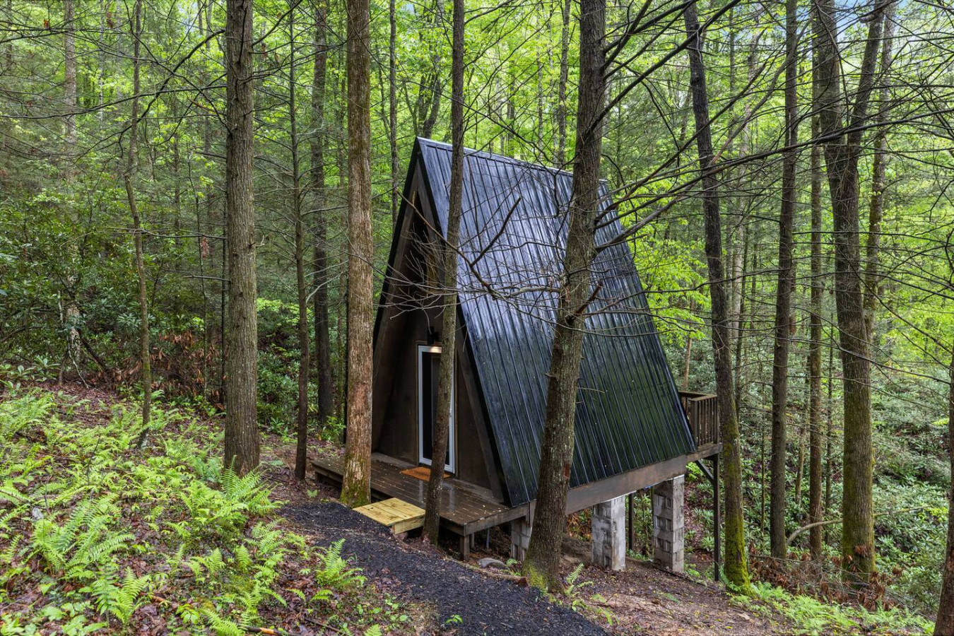 A-Frames Under the Canopy photo 52