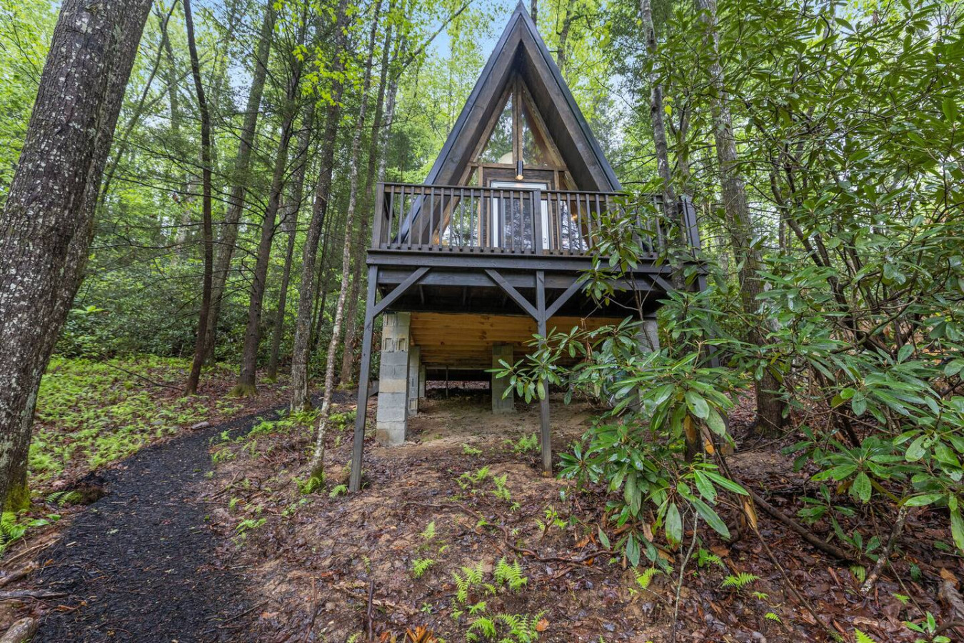 A-Frames Under the Canopy photo 47