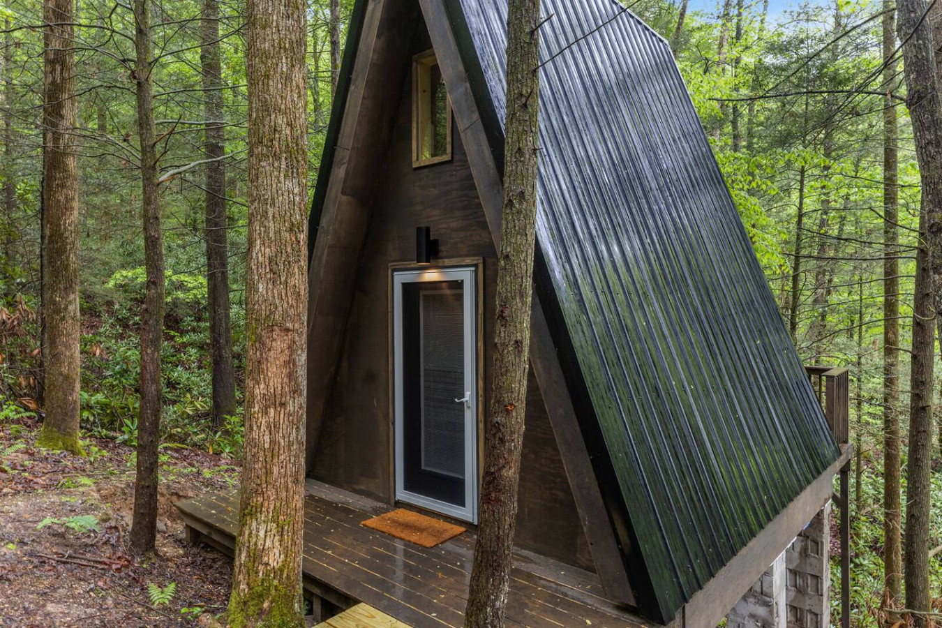 A-Frames Under the Canopy photo 53