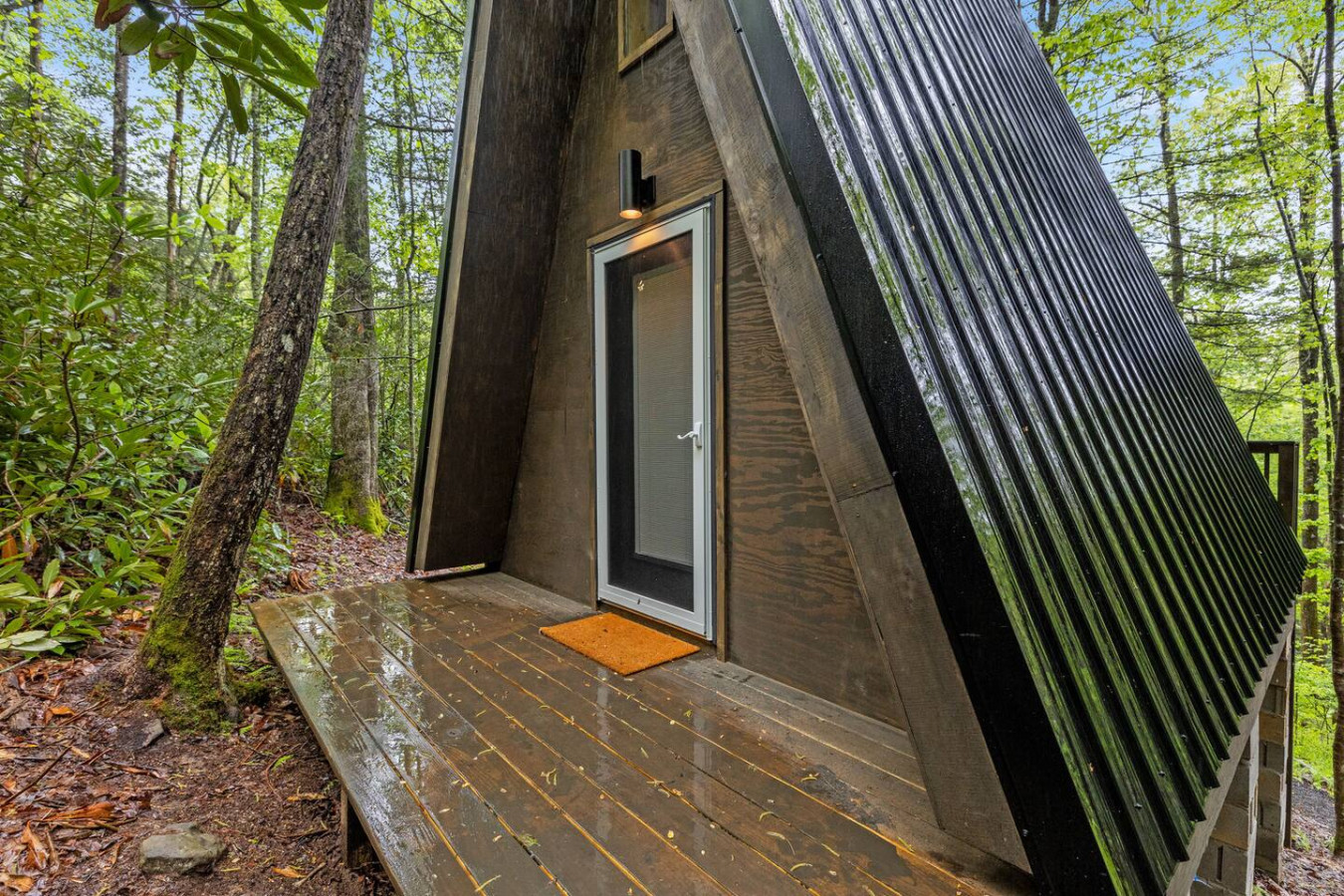 A-Frames Under the Canopy - Photo 2