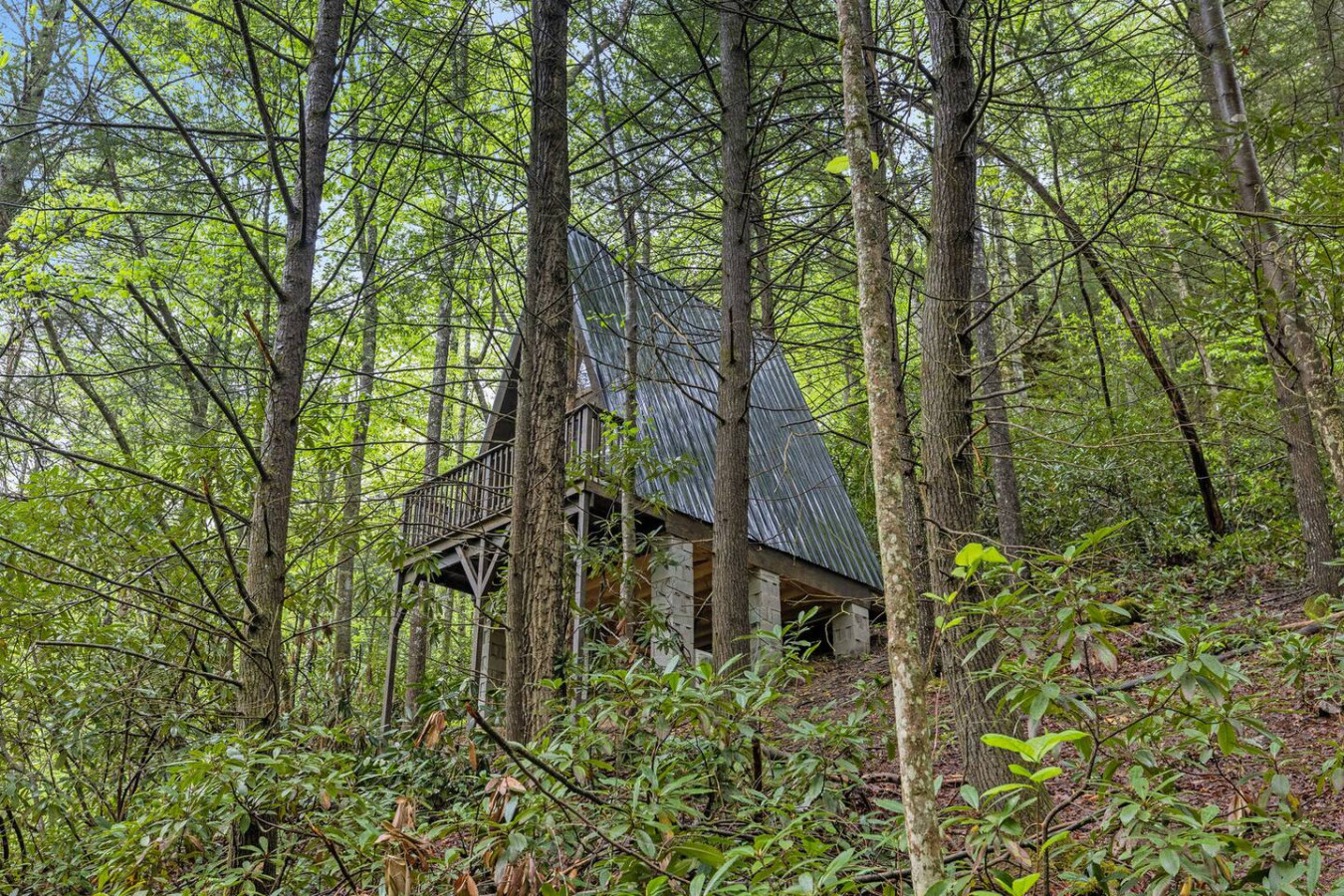 A-Frames Under the Canopy photo 56