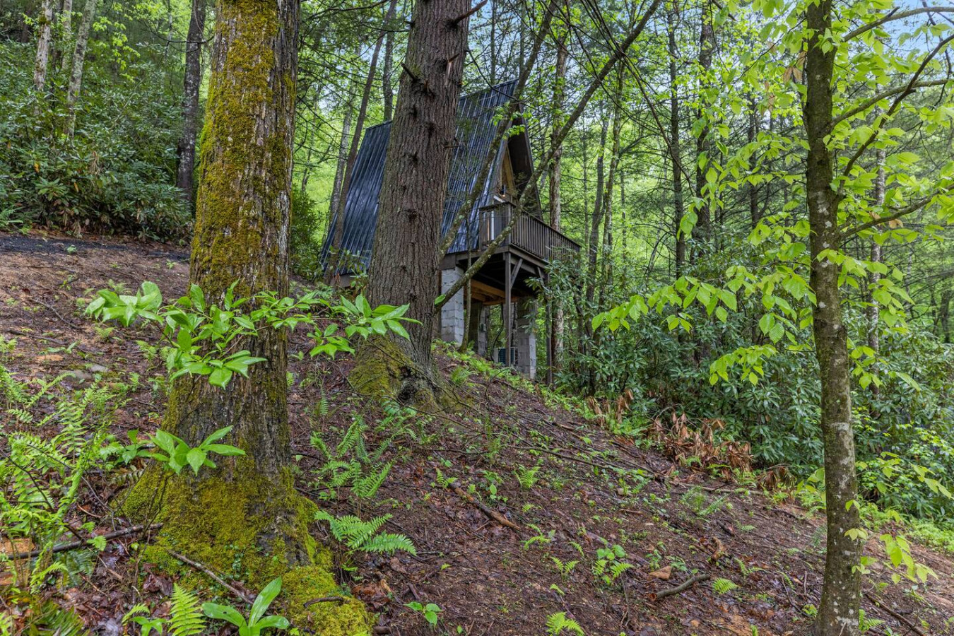 Creekside photo 18