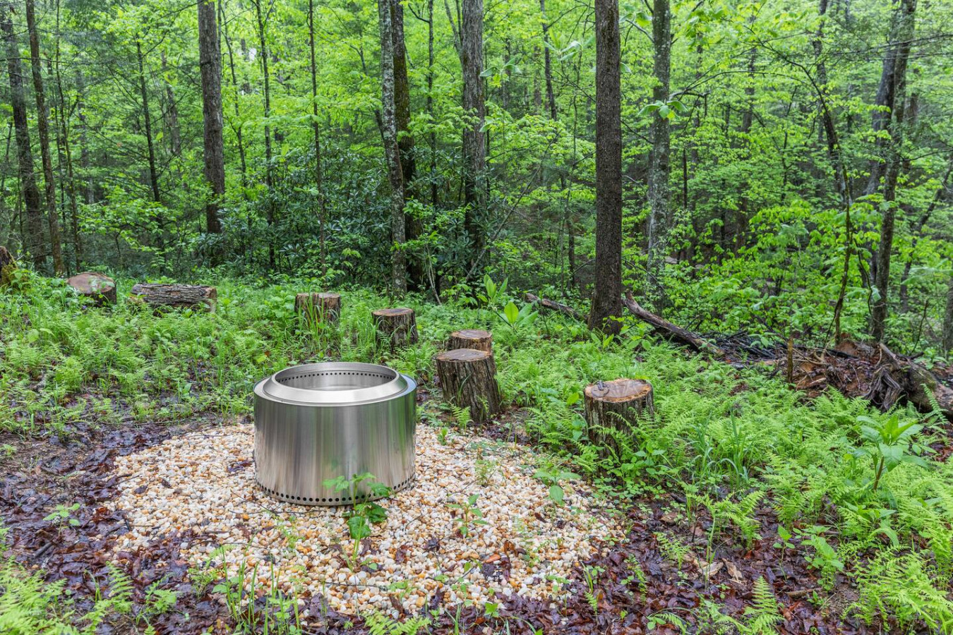 Fern Grove photo 31