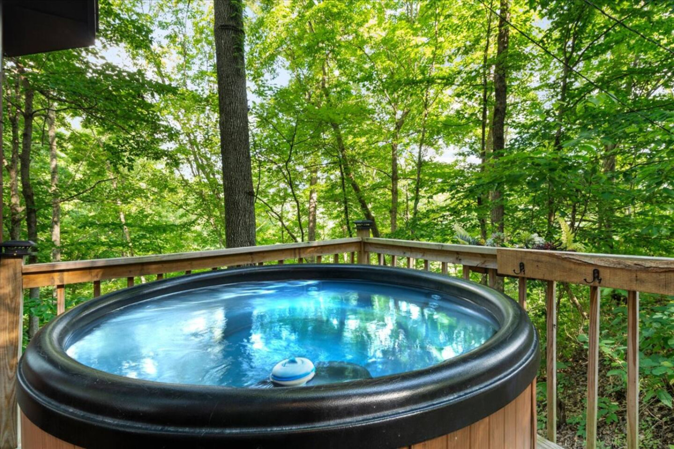 Romantic Hideaway photo 2