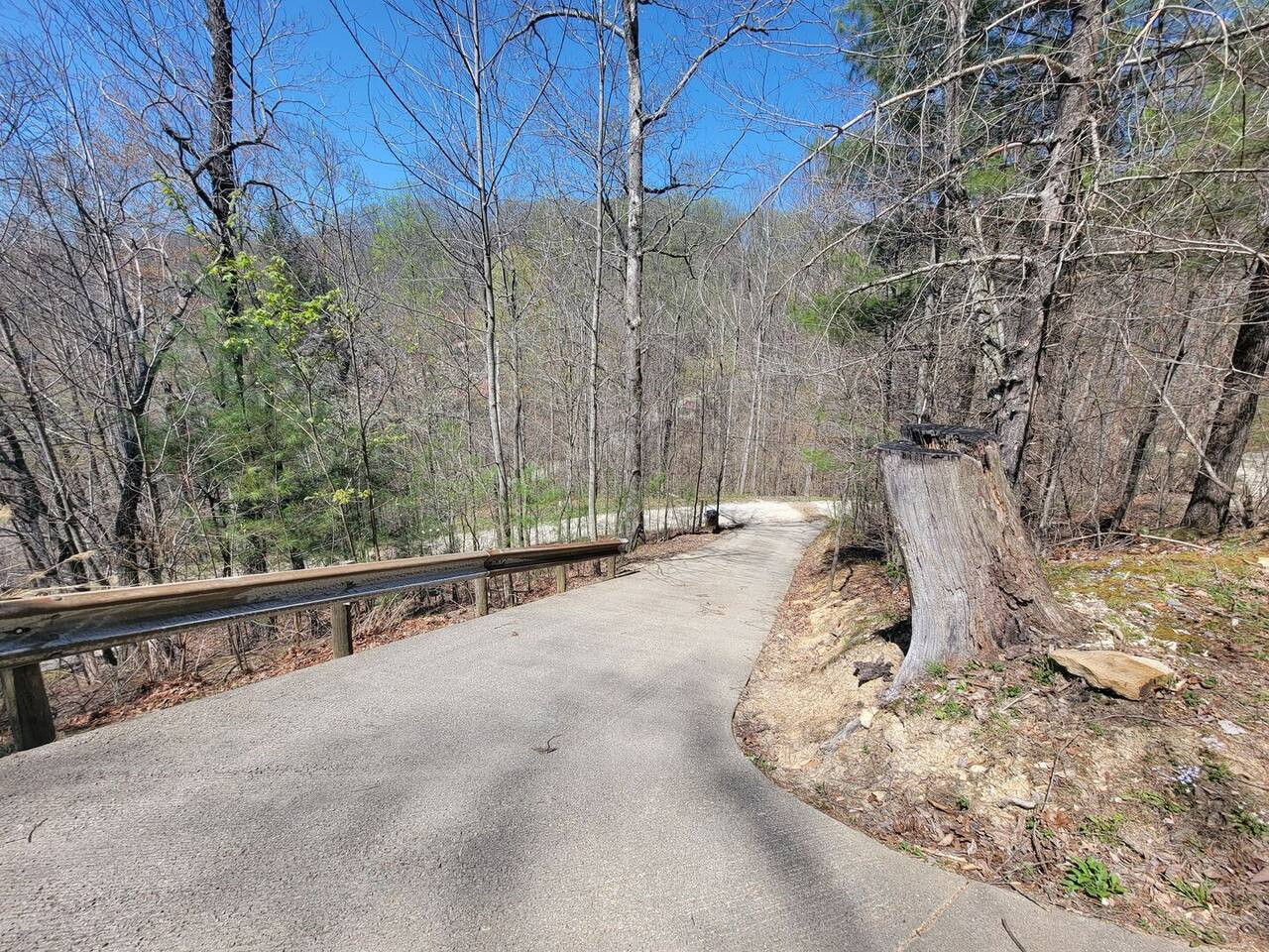 Mountain Rose photo 33