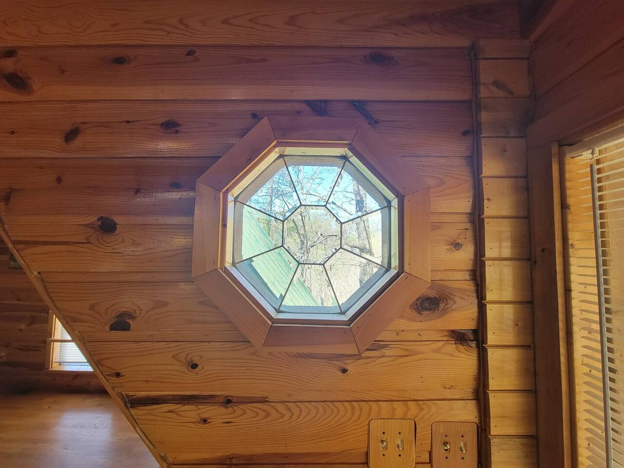 Mountain Rose photo 23