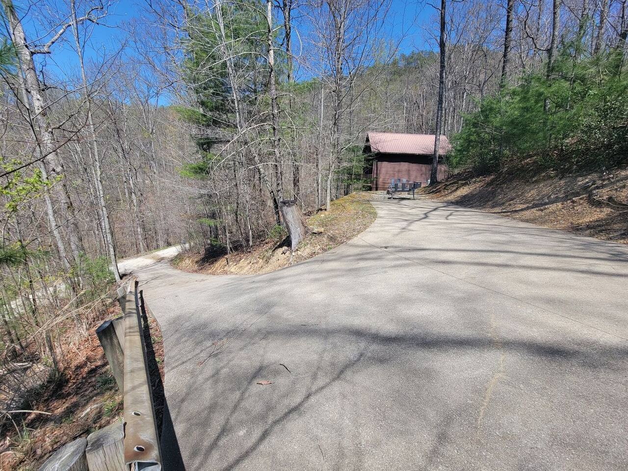 Mountain Rose photo 31
