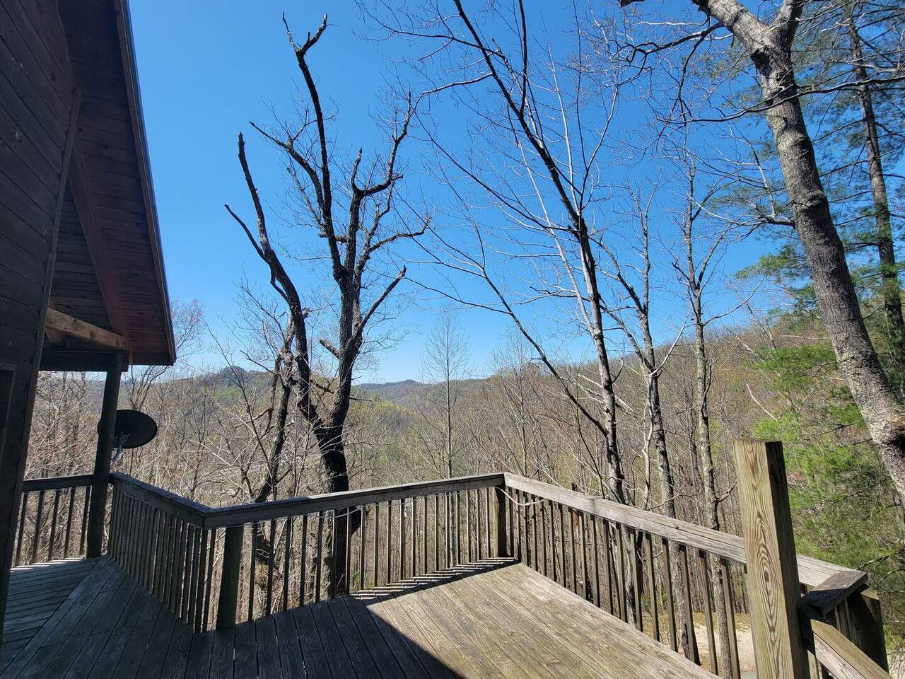 Mountain Rose photo 30