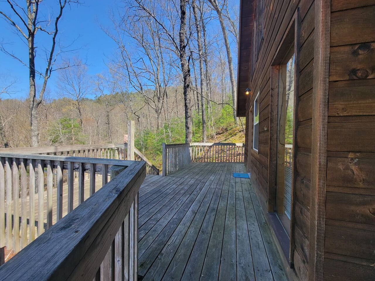 Mountain Rose photo 7