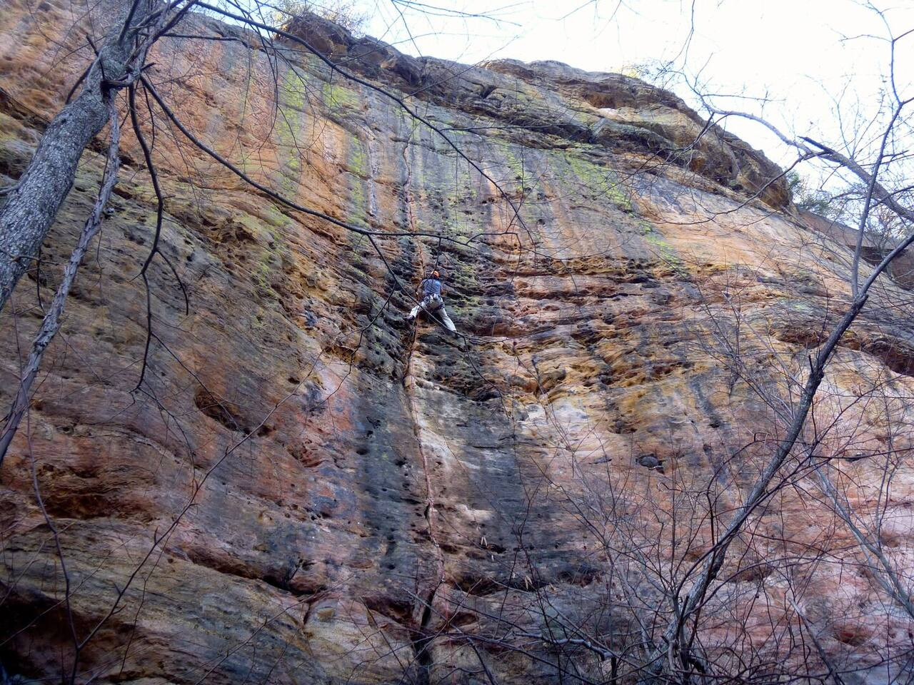 Alice Rocks - Photo 1
