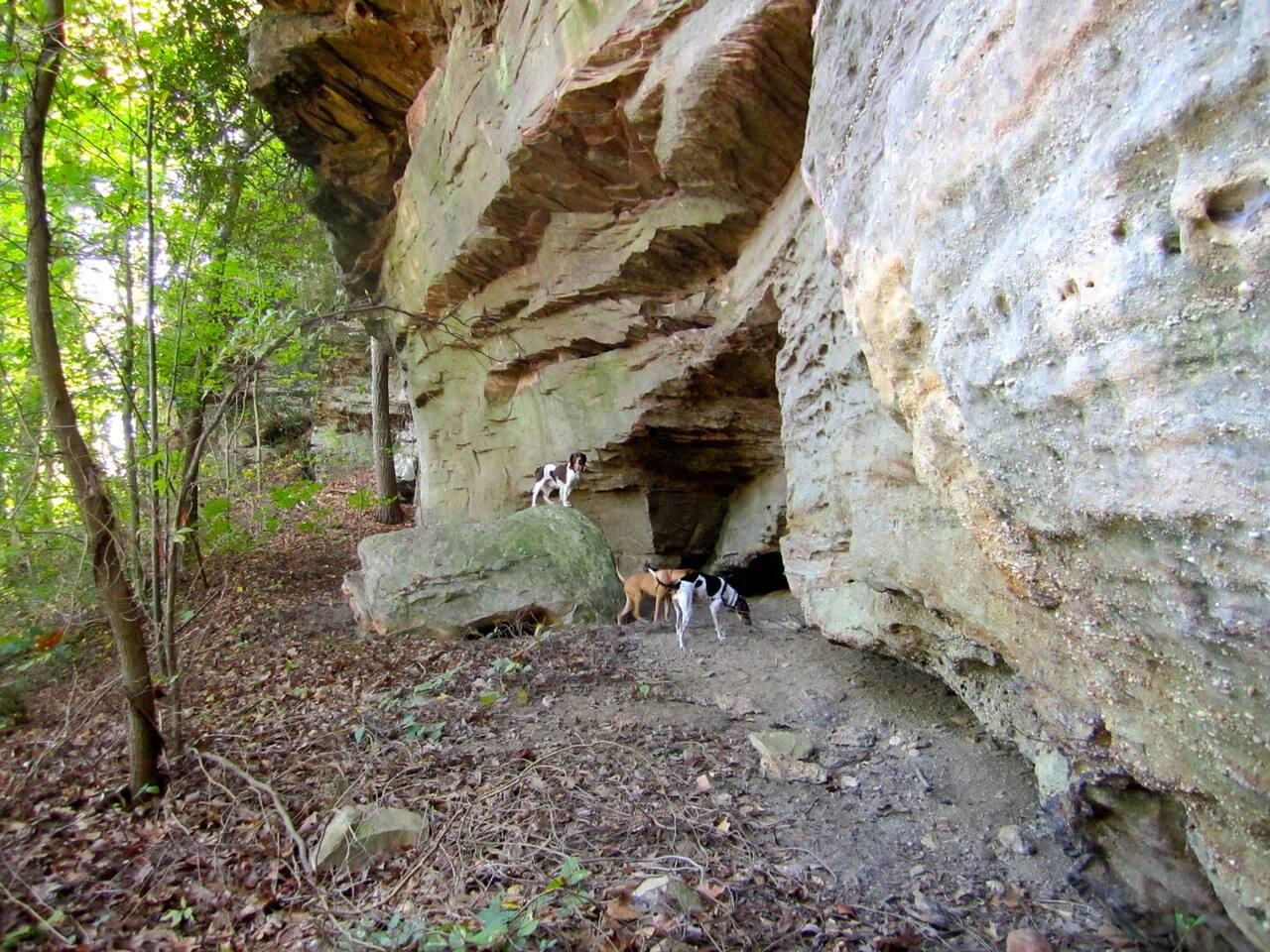 Alice Rocks photo 39