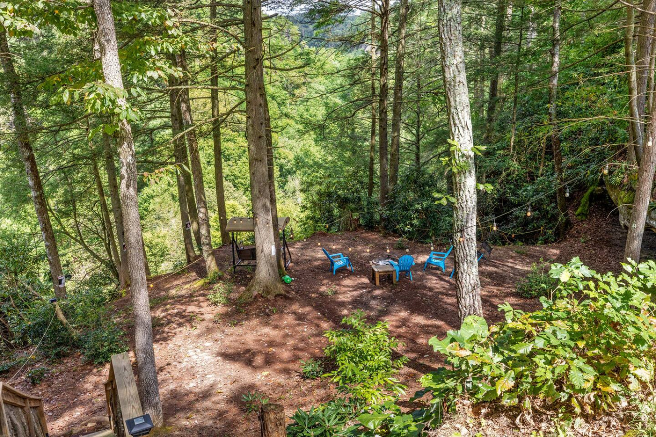 Hemlocks Over Muir photo 20