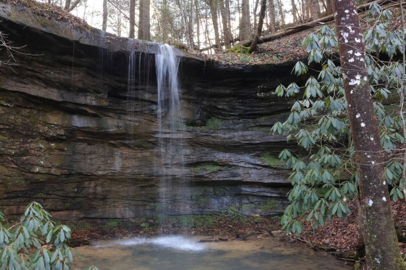 The Rock House photo 52