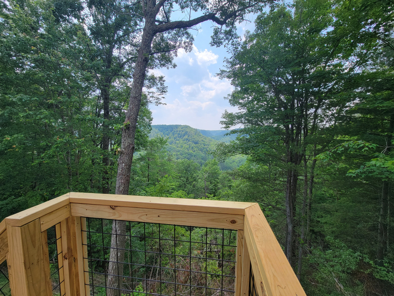 Skyline Chalet photo 42