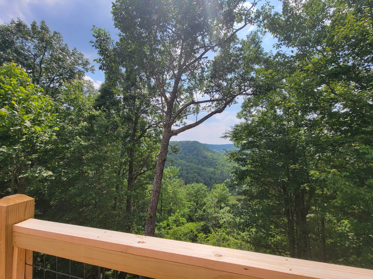 Skyline Chalet photo 41