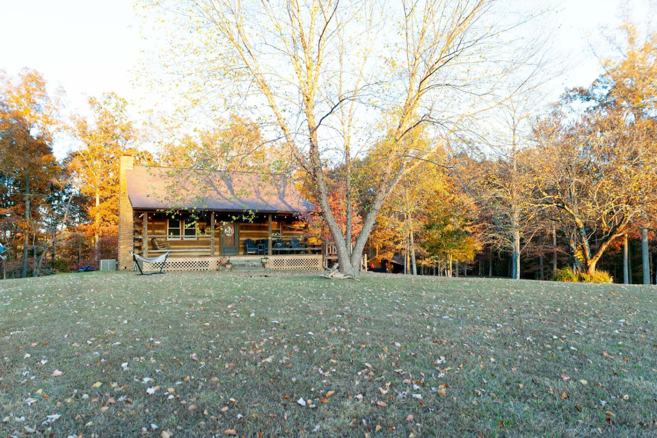 Soulshine photo 6
