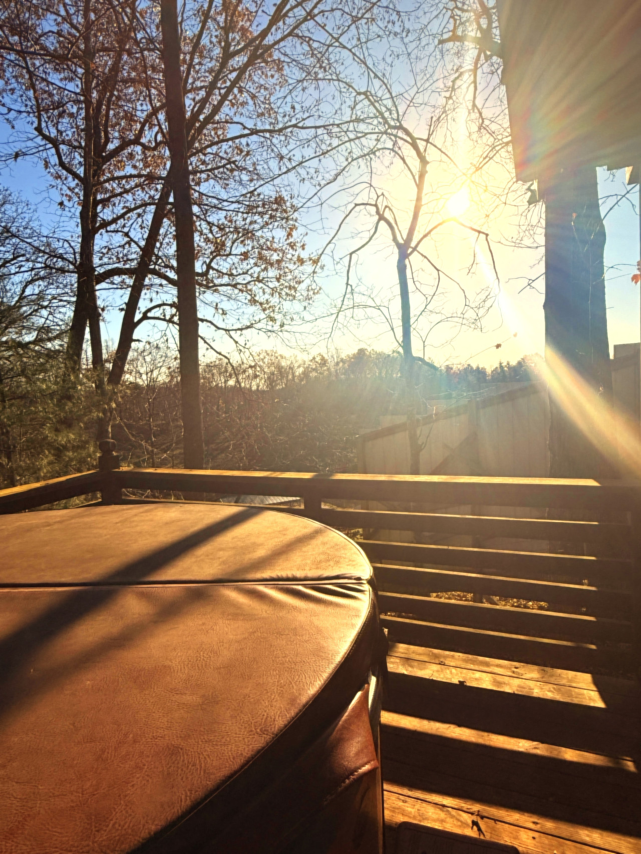 Sunrise Cabin photo 43
