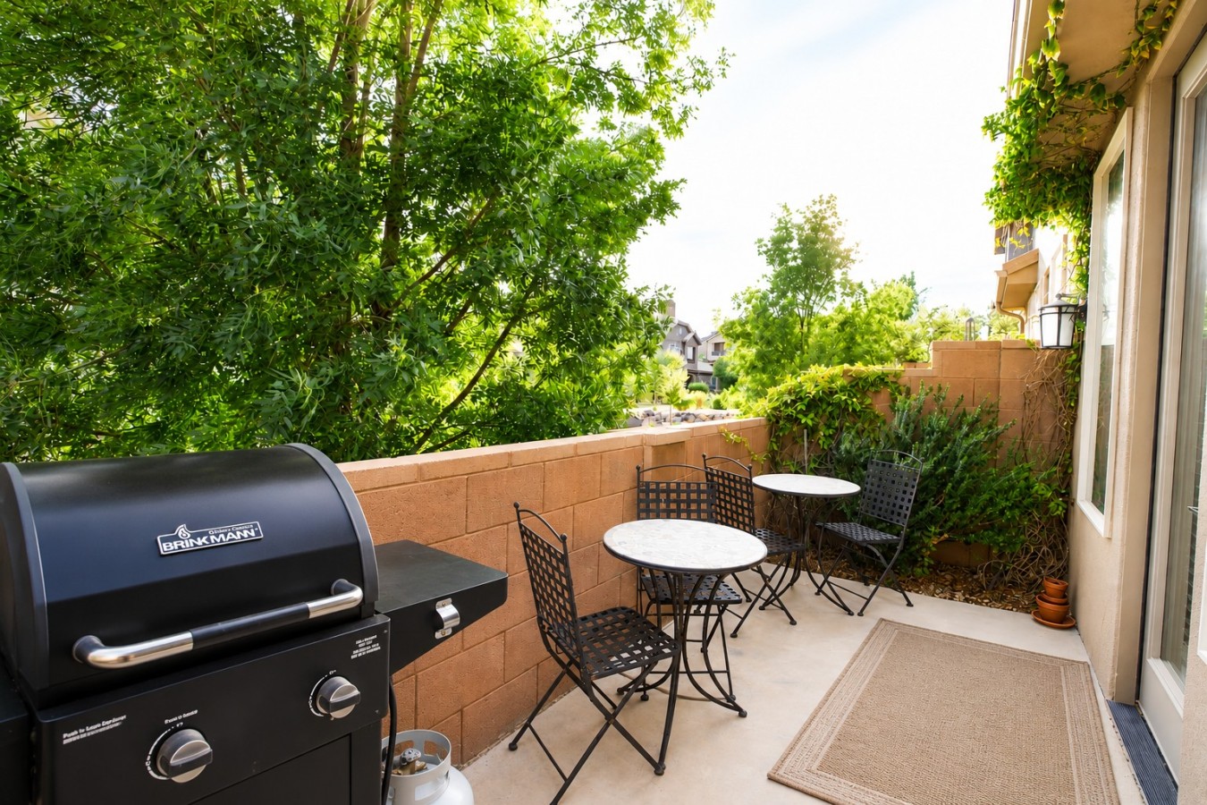 Patio and BBQ