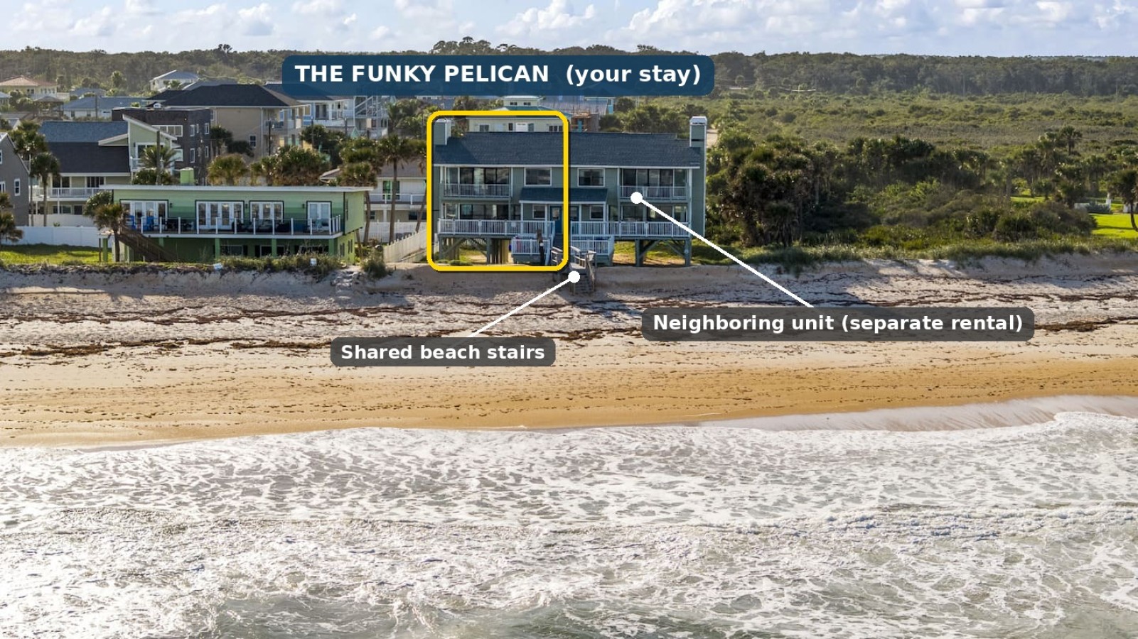 Featured Property ❤️ The Funky Pelican Direct Oceanfront Retreat Pet Friendly