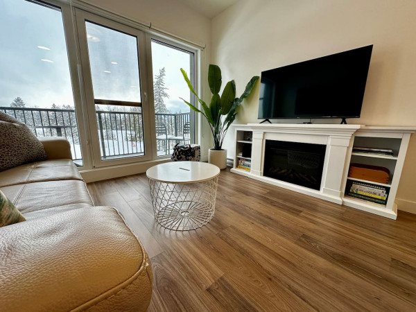 Luxury Downtown Mountain and River View Condo