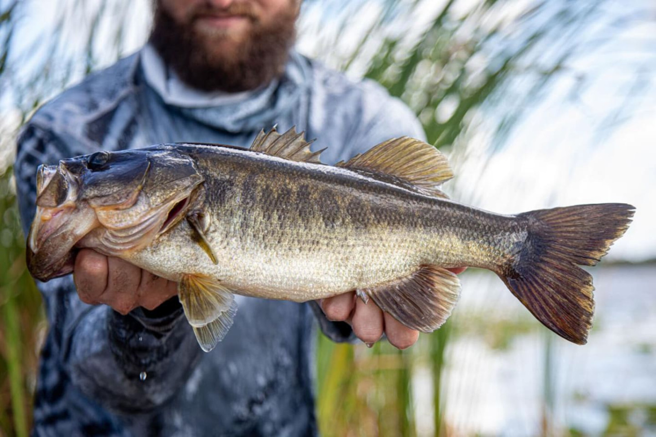 Pet Friendly | Private Dock & Direct Canal Access - The Bahamas
