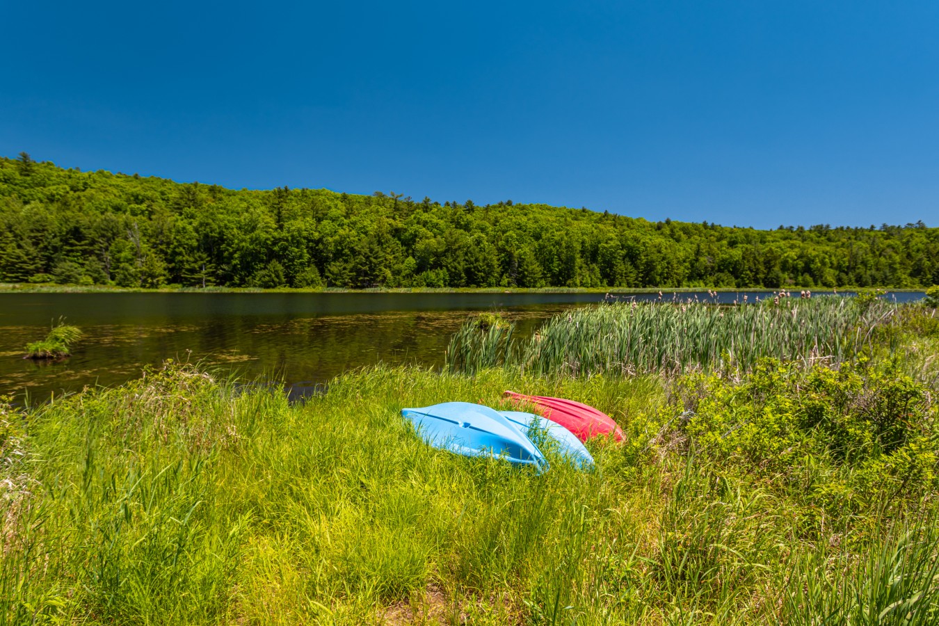 Enjoy a beautiful daytime stroll on the kayaks