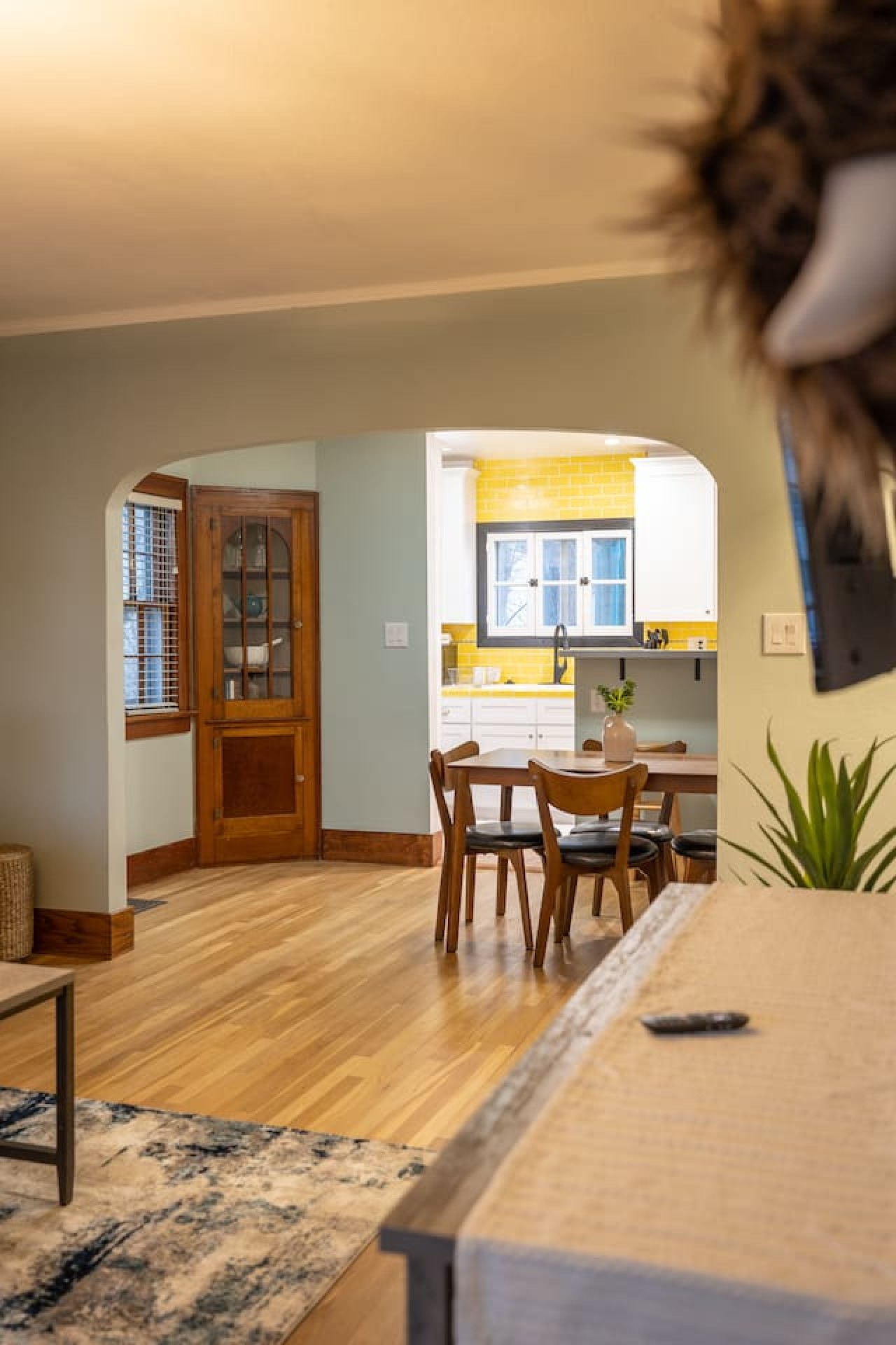 Downtown, 2bedroom, 2 bath, Beautiful Apartment! — photo 15