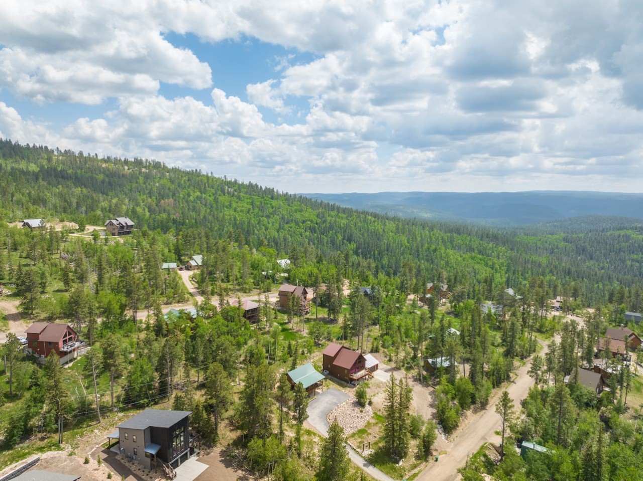 The Lincoln Lodge Cabin — photo 48